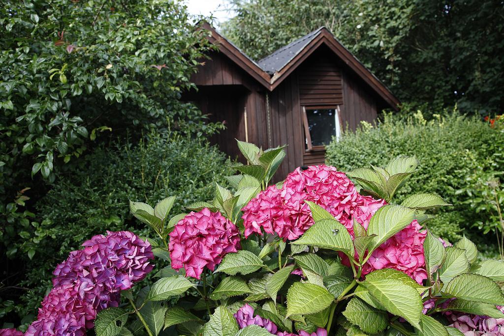 Bed and Breakfast Cafehaven Børglum Zimmer foto